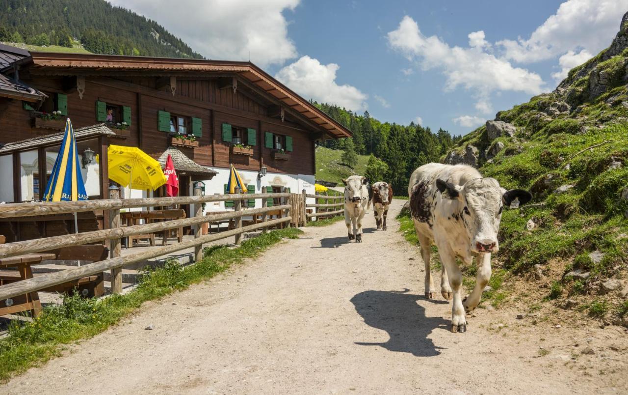 Ritzau Alm Hotel Ebbs Exterior photo